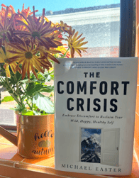 ComfortCrisis